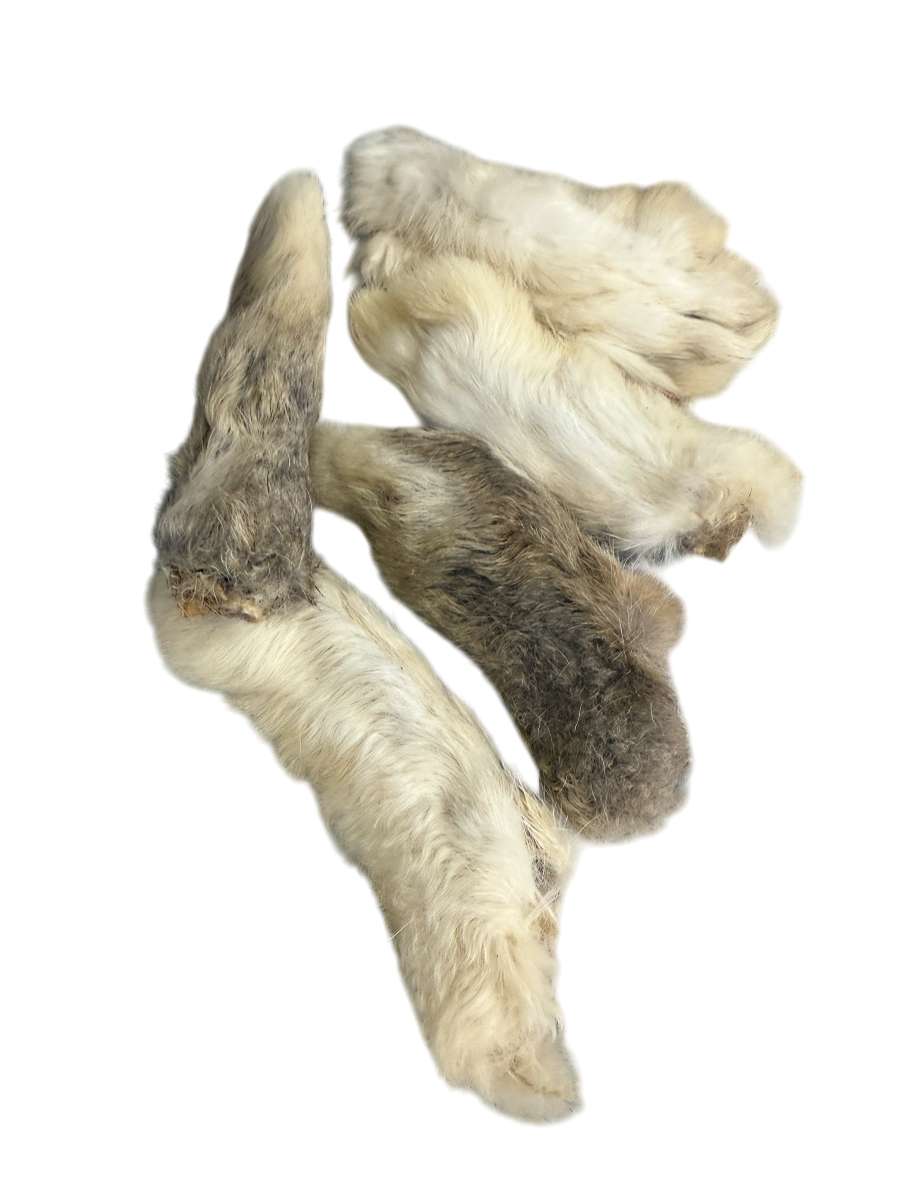 Rabbit Feet with Hair