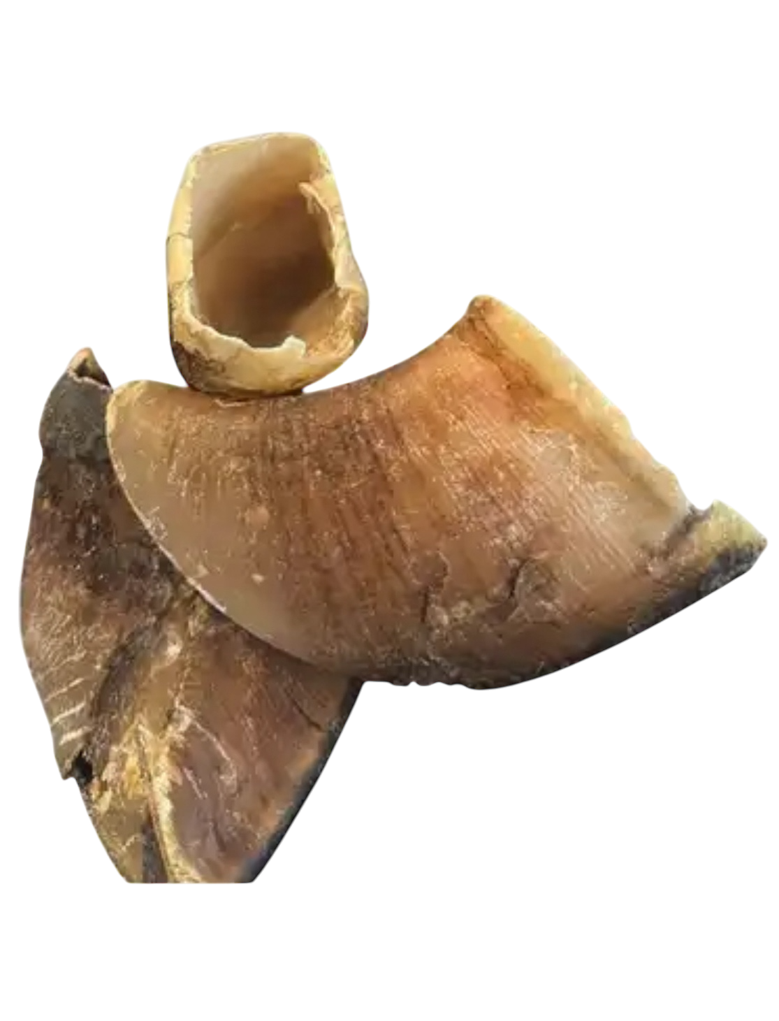 Cow Hooves