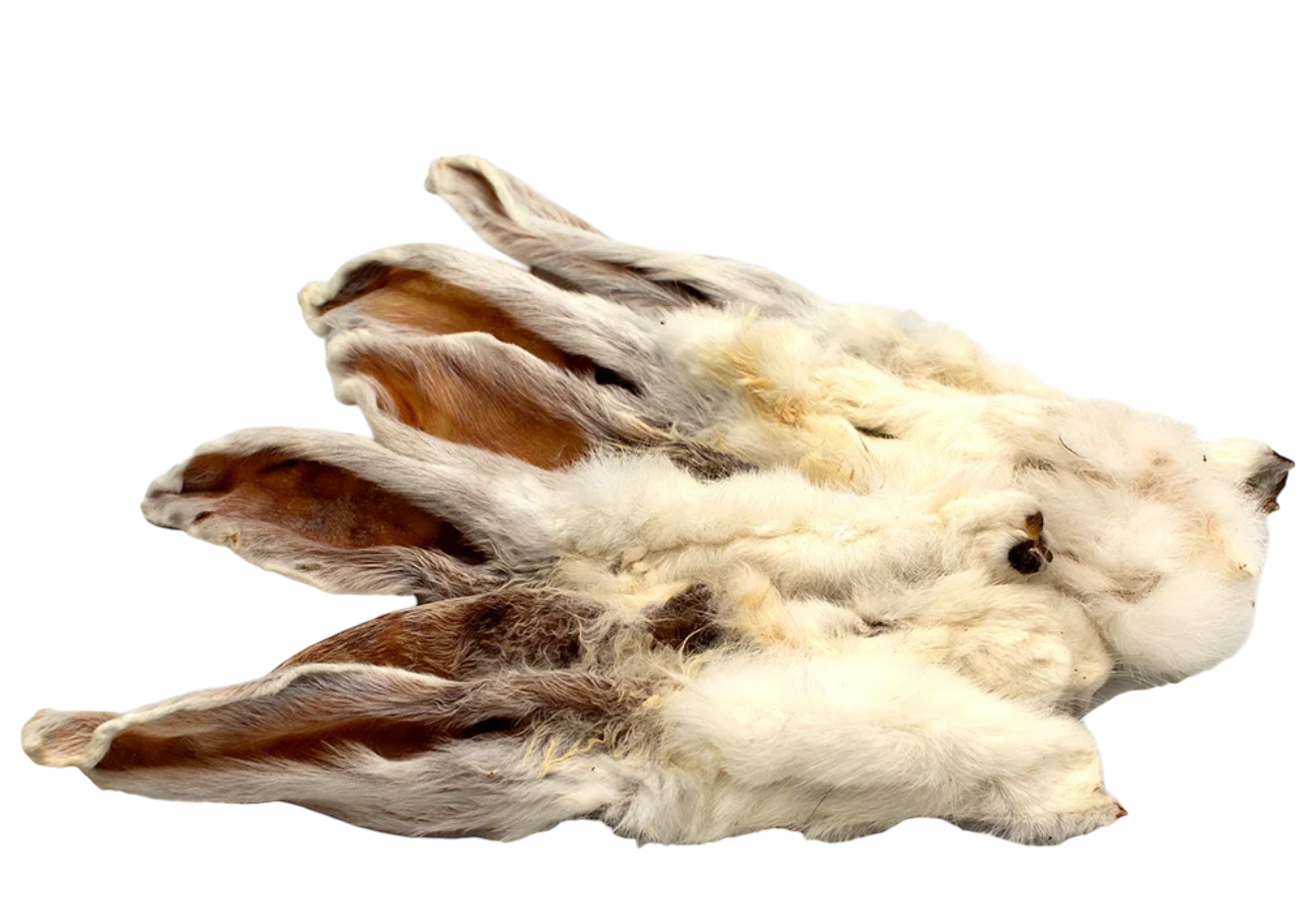 Hairy Rabbit Ears