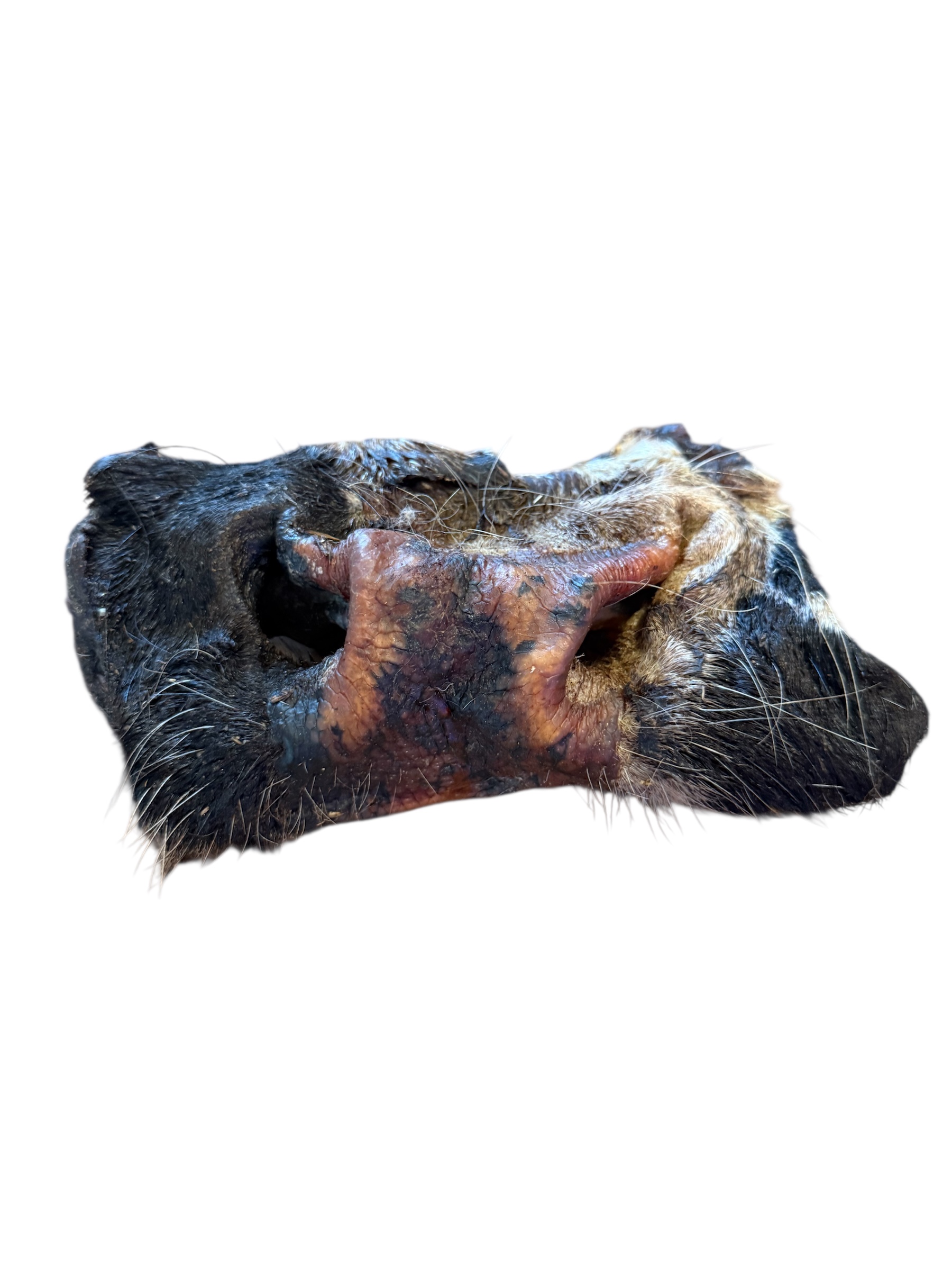 Beef Nose