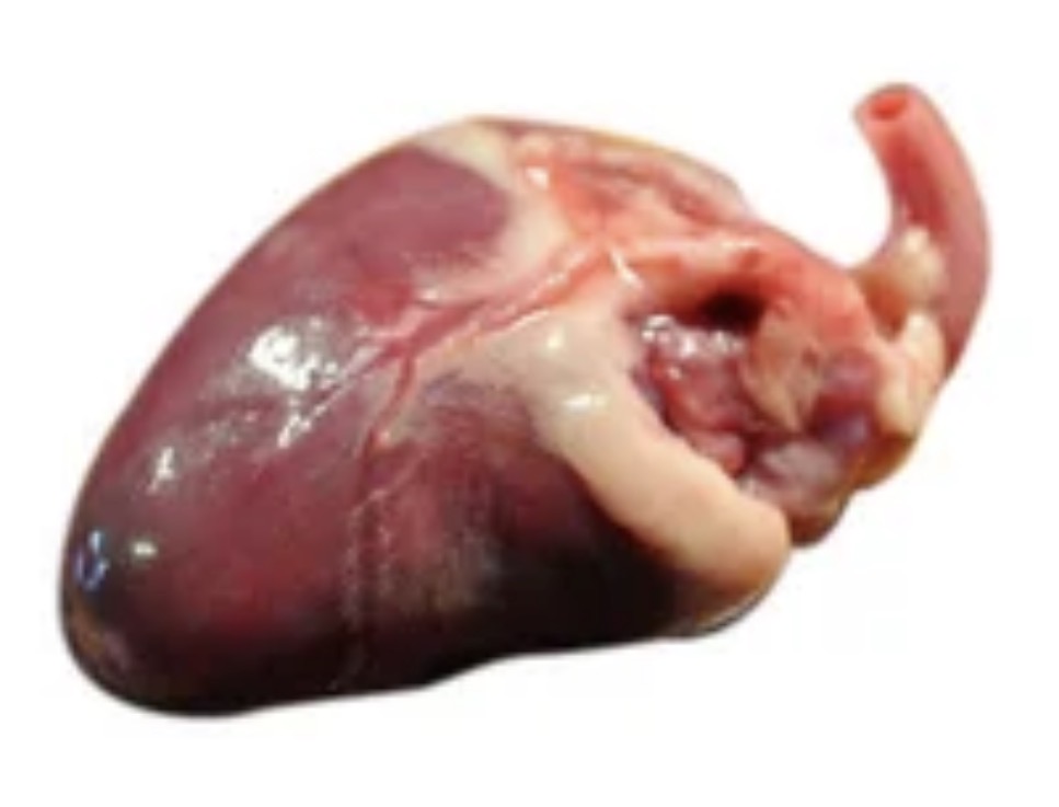 Frozen Raw Chicken Hearts