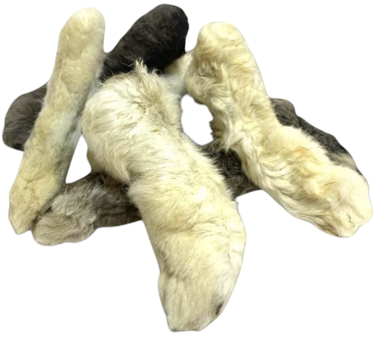 Rabbit Feet with Hair x 5