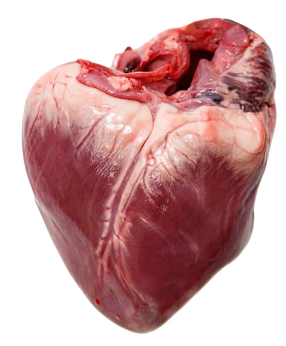 Frozen Raw Pig Heart