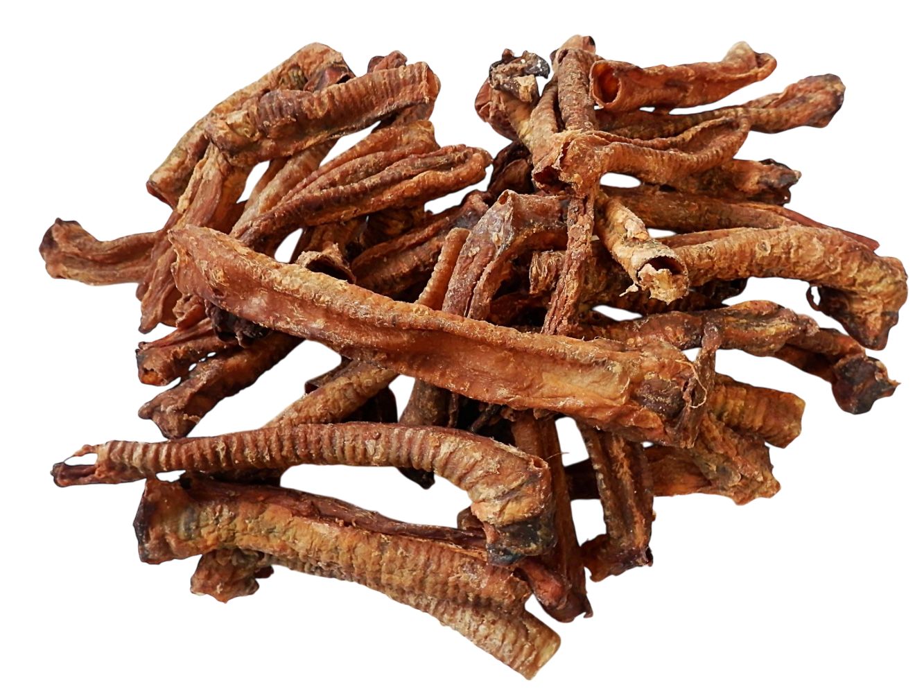 Lamb Trachea